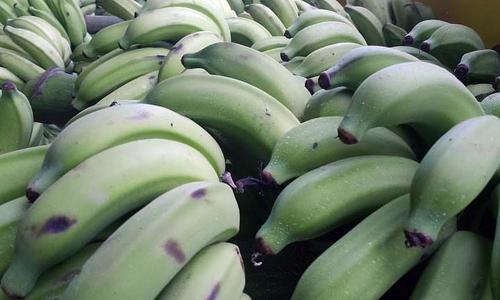 Незрелые фрукты могут лишить зрения